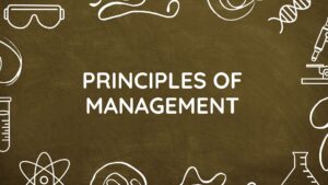 principles of management past questions and answers